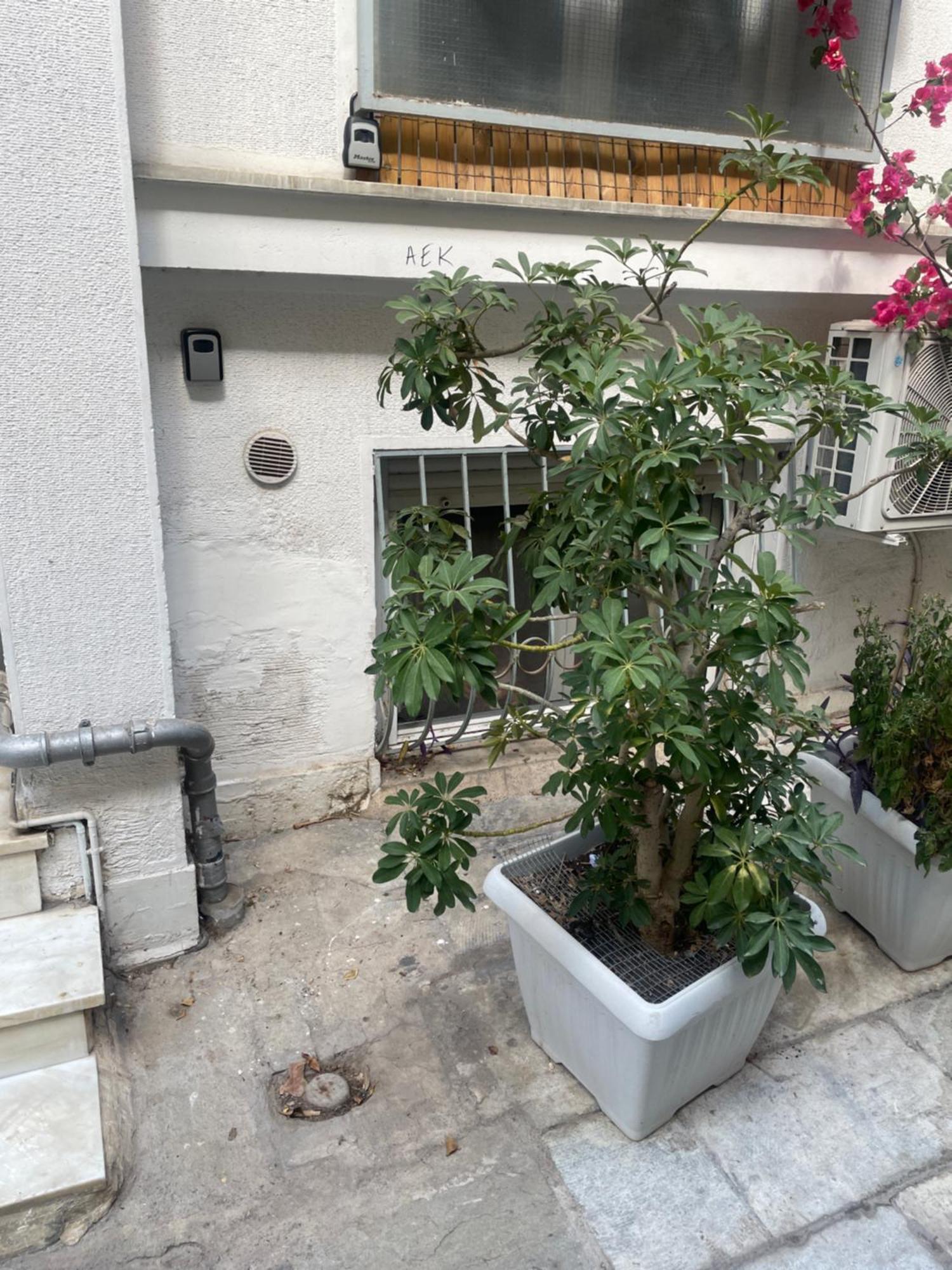 Syntagma Plaka 1 Appartement *
